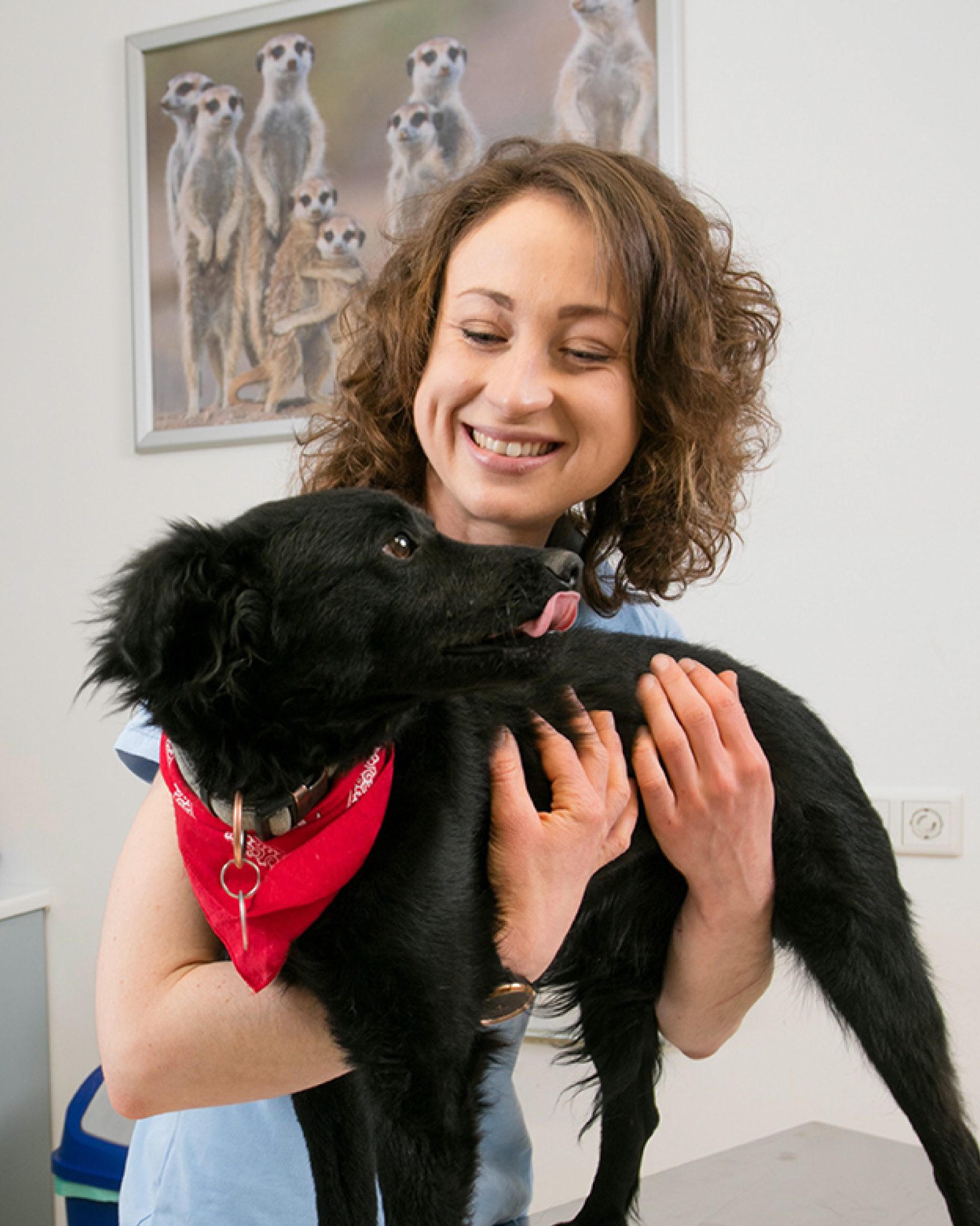 melanie-kleintierpraxis-pfaffenhofen-vertical